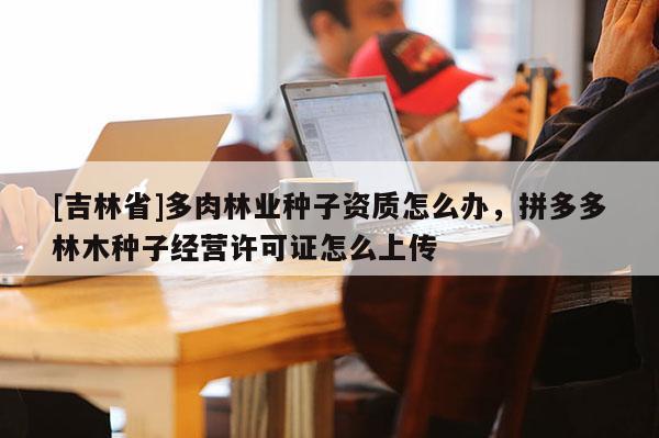 [吉林省]多肉林業種子資質怎么辦，拼多多林木種子經營許可證怎么上傳