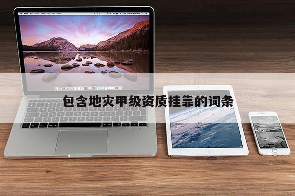 包含地災甲級資質掛靠的詞條