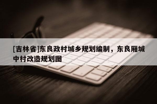 [吉林省]東良政村城鄉規劃編制，東良廂城中村改造規劃圖