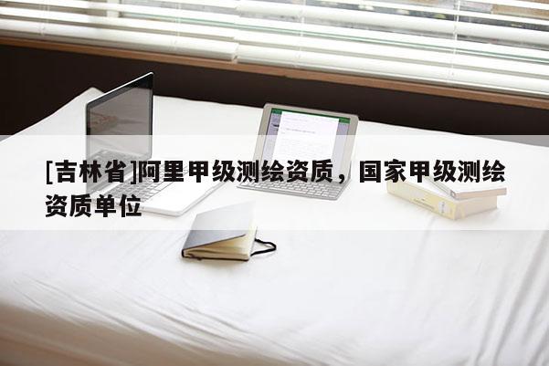 [吉林省]阿里甲級測繪資質，國家甲級測繪資質單位