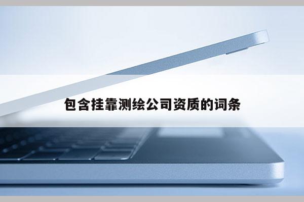 包含掛靠測繪公司資質的詞條