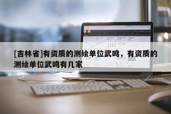 [吉林省]有資質的測繪單位武鳴，有資質的測繪單位武鳴有幾家