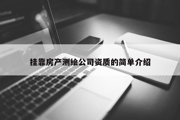 掛靠房產測繪公司資質的簡單介紹